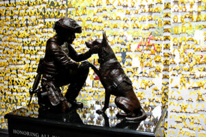 img_7361 img_7361