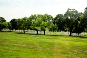img_7379 img_7379