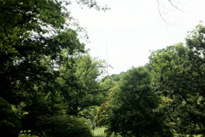 img_7387 img_7387