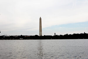 img_7413 img_7413