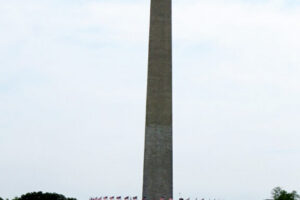 img_8268 img_8268
