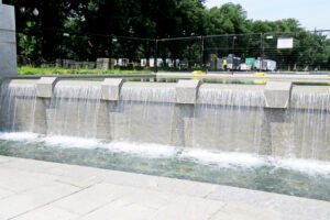img_8289 img_8289