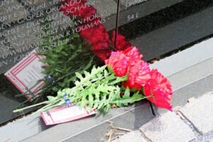 img_8358 img_8358