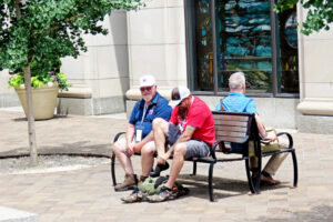 img_8379 img_8379