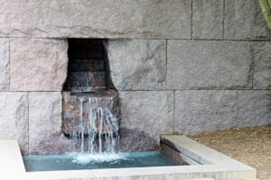 img_8427 img_8427