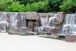 img_8441 img_8441