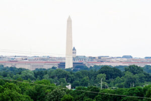 img_8454 img_8454